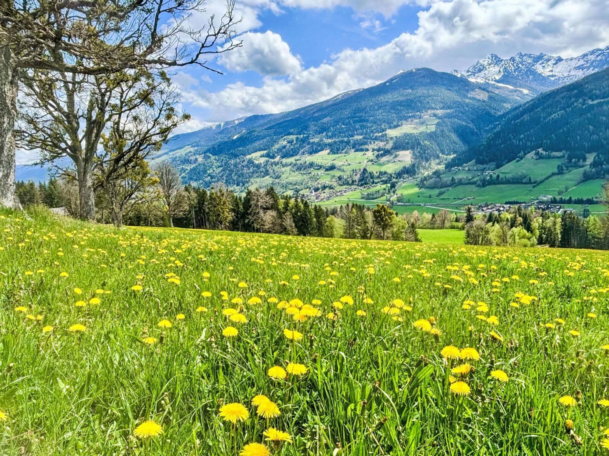 Apartment Salzmannhof - Rmu210 By Interhome Ramsau am Dachstein Zewnętrze zdjęcie